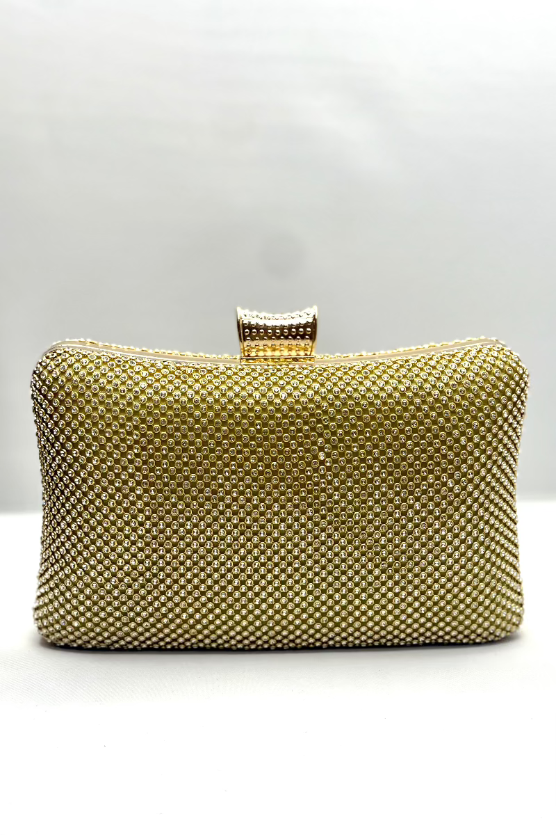Sleek Clutch